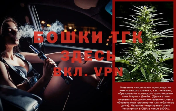 Альфа ПВП Белокуриха