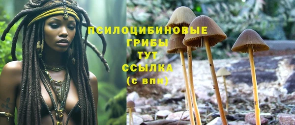 молекула духа Белоозёрский
