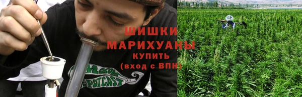 молекула духа Белоозёрский