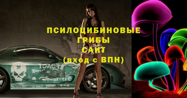 Альфа ПВП Белокуриха