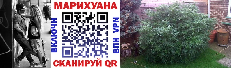 где найти наркотики  Дигора  МАРИХУАНА марихуана 
